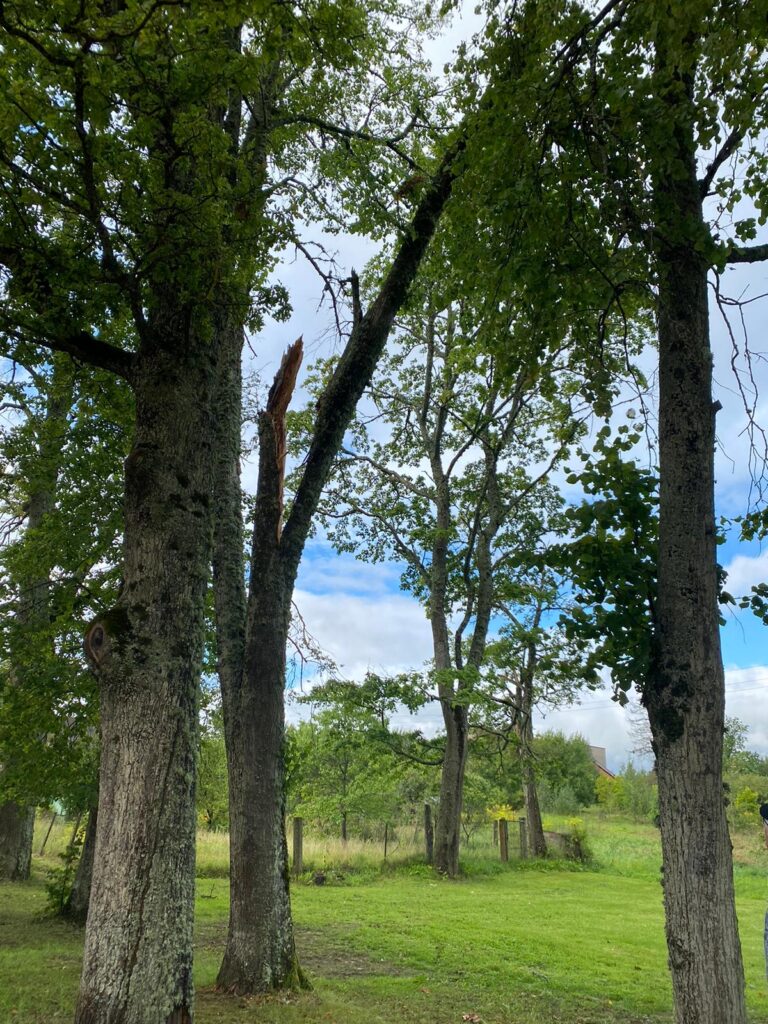 Pie Lizuma kultūras nama.
Autors: Foto: Elita Dūte