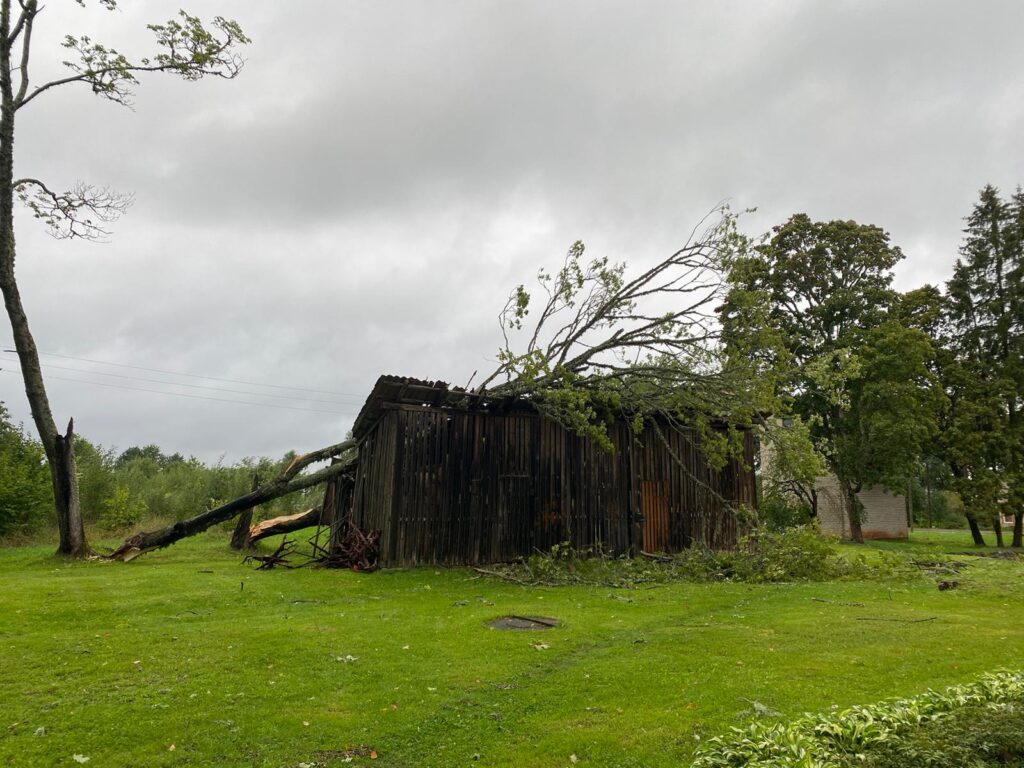 Pie Lizuma kultūras nama.
Autors: Foto: Elita Dūte