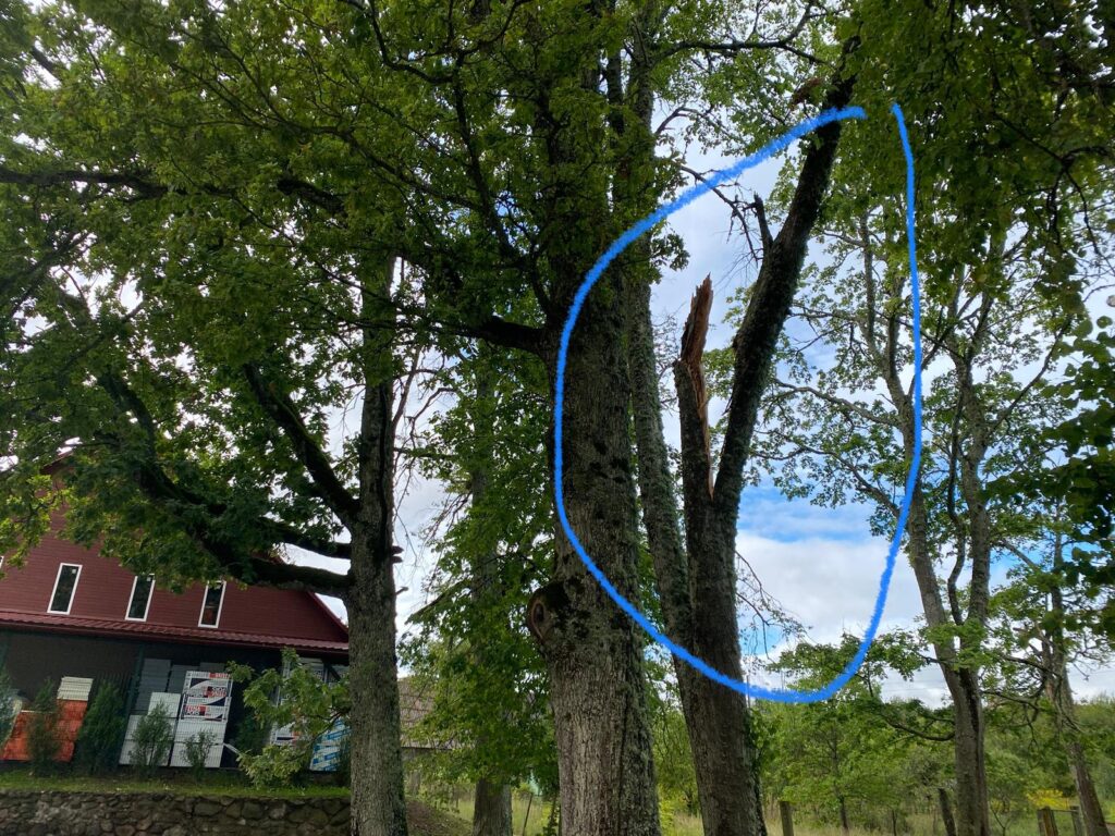 Pie Lizuma kultūras nama.
Autors: Foto: Elita Dūte