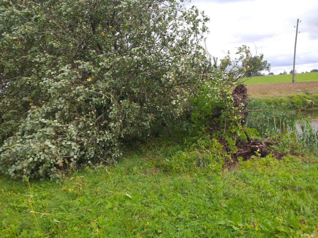 Lizuma pagasta "Māliņi".
Autors: Foto: no privātā arhīva