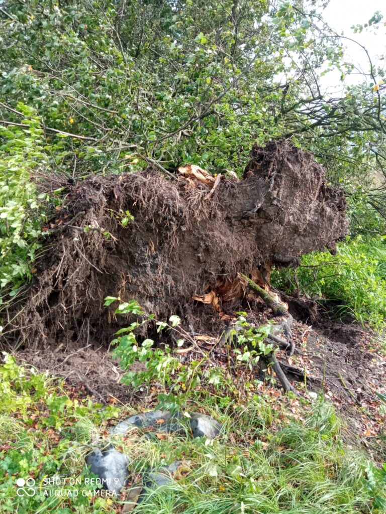 Lizuma pagasta "Māliņi".
Autors: Foto: no privātā arhīva