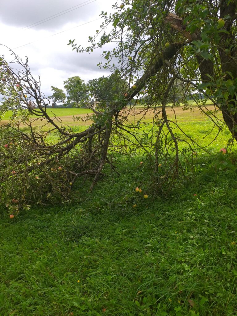 Lizuma pagasta "Māliņi".
Autors: Foto: no privātā arhīva