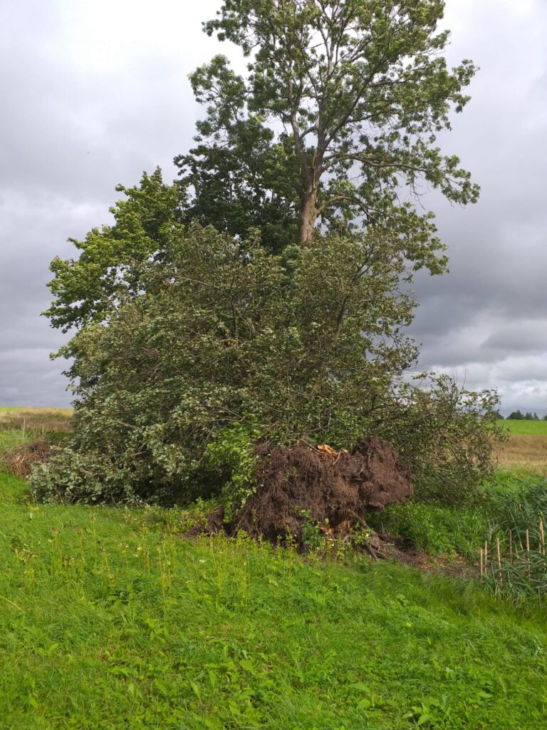 Lizuma pagasta "Māliņi".
Autors: Foto: no privātā arhīva