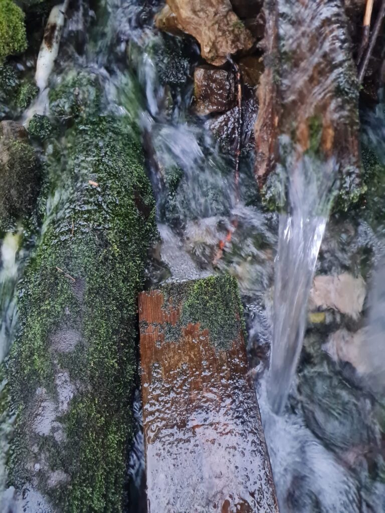 Autors: Foto iesūtījusi: Inonanta Millere