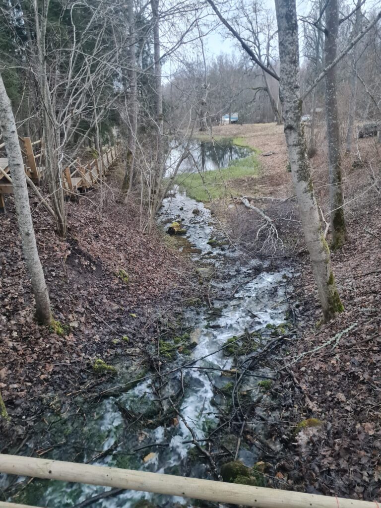 Autors: Foto iesūtījusi: Inonanta Millere