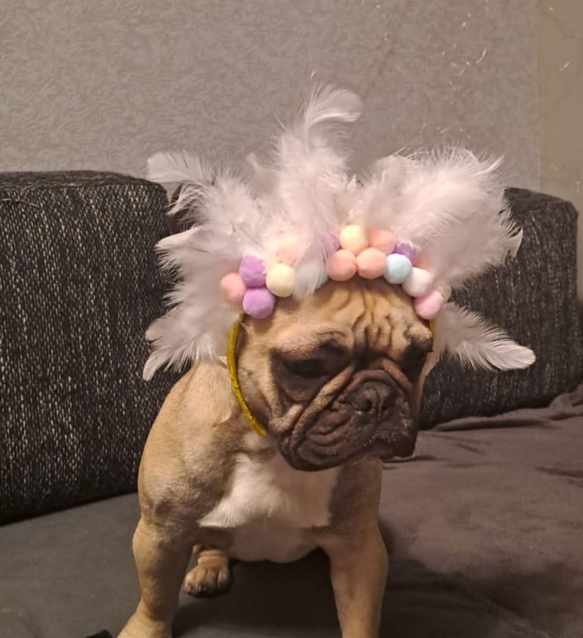 Autors: Foto iesūtījusi: Aiva Seņka