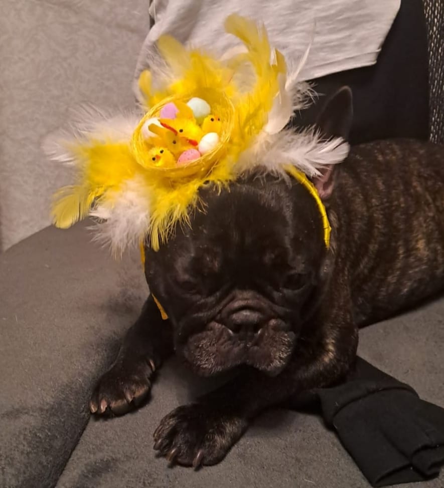 Autors: Foto iesūtījusi: Aiva Seņka