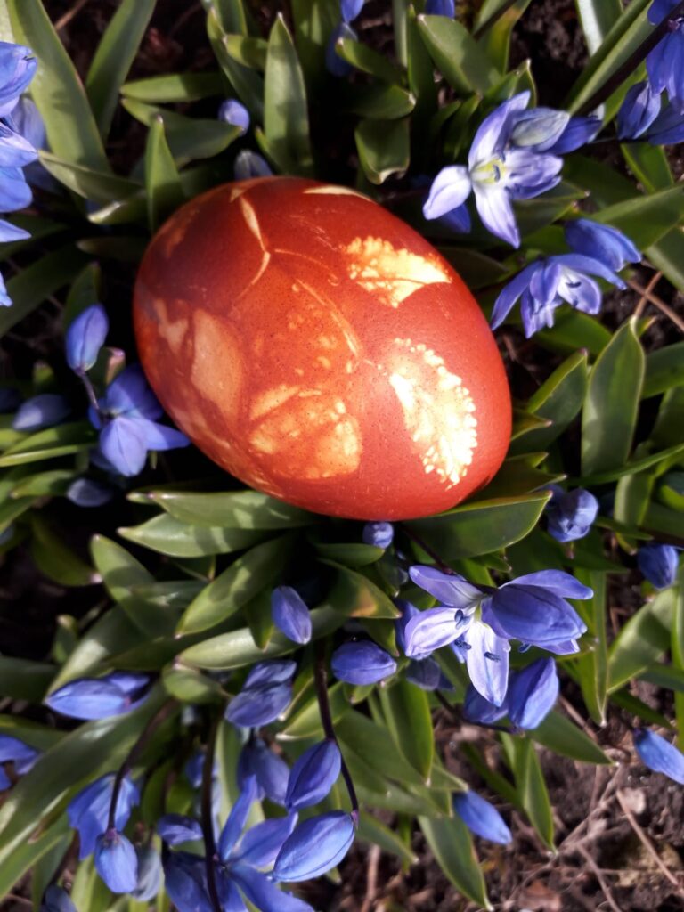 Autors: Foto: Inta Apsīte