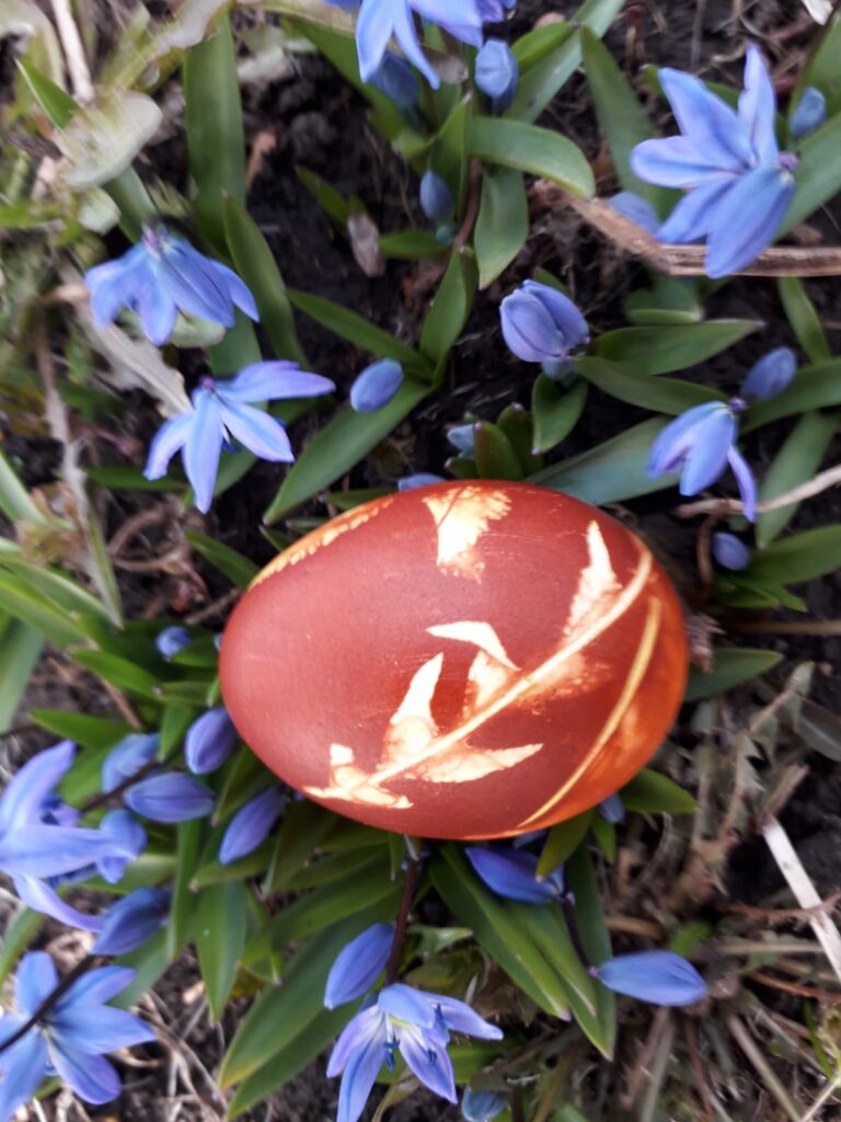 Autors: Foto: Inta Apsīte