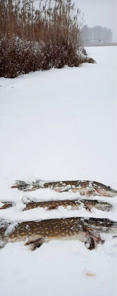 Autors: FOTO: GATIS BOGDANOVS