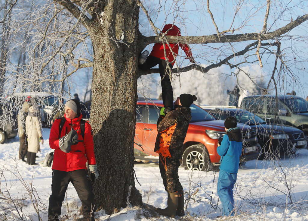 Aluksniesiem.lv raksta attēla aizvietotājs