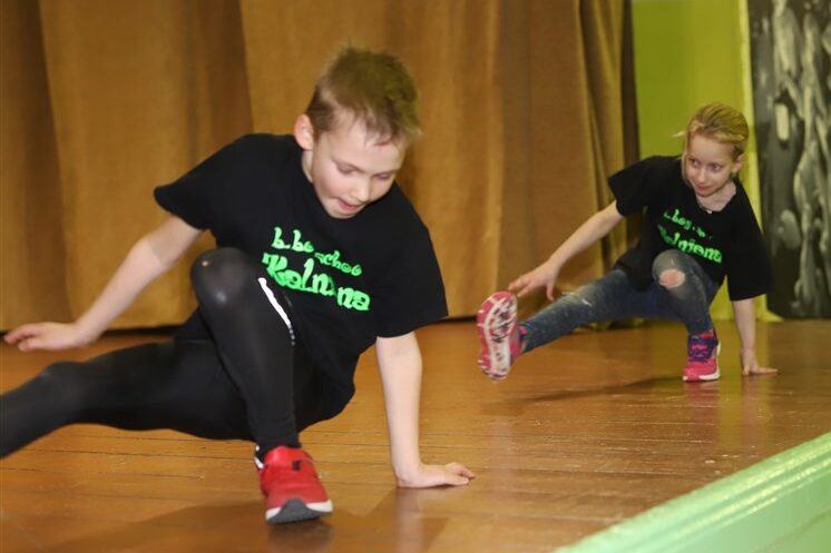 Aluksniesiem.lv raksta attēla aizvietotājs