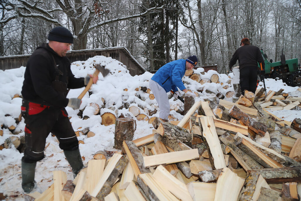 Autors: Foto: Gatis Bogdanovs