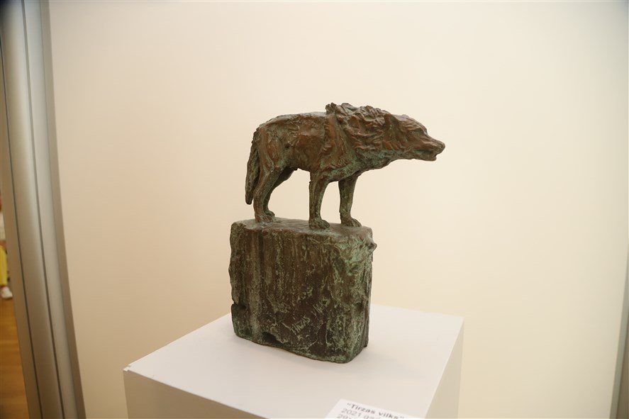 Autors: Foto: Gatis Bogdanovs