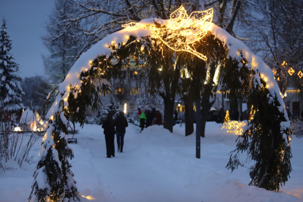 Autors: Foto: Gatis Bogdanovs