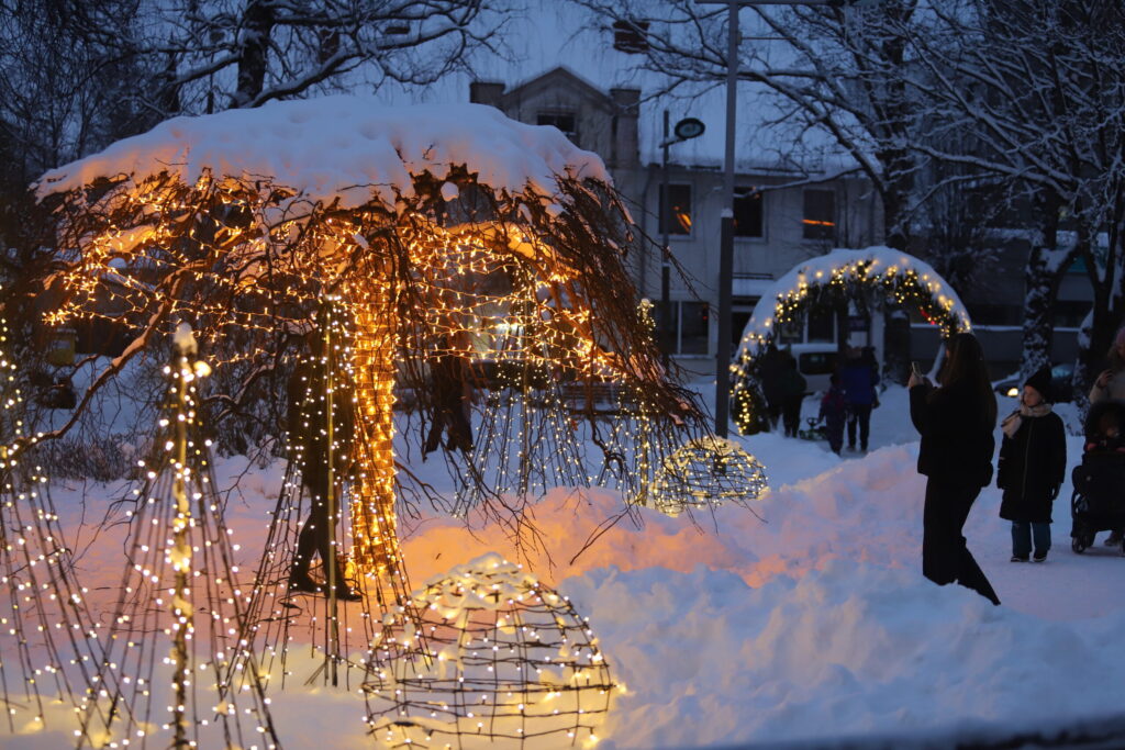 Autors: Foto: Gatis Bogdanovs