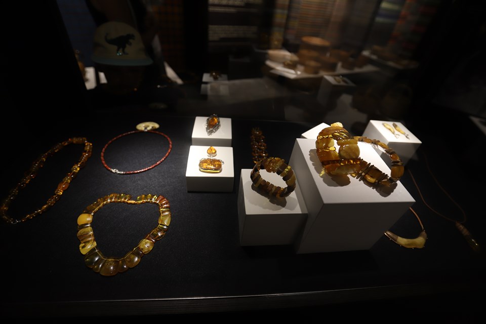 Autors: Foto: Gatis Bogdanovs