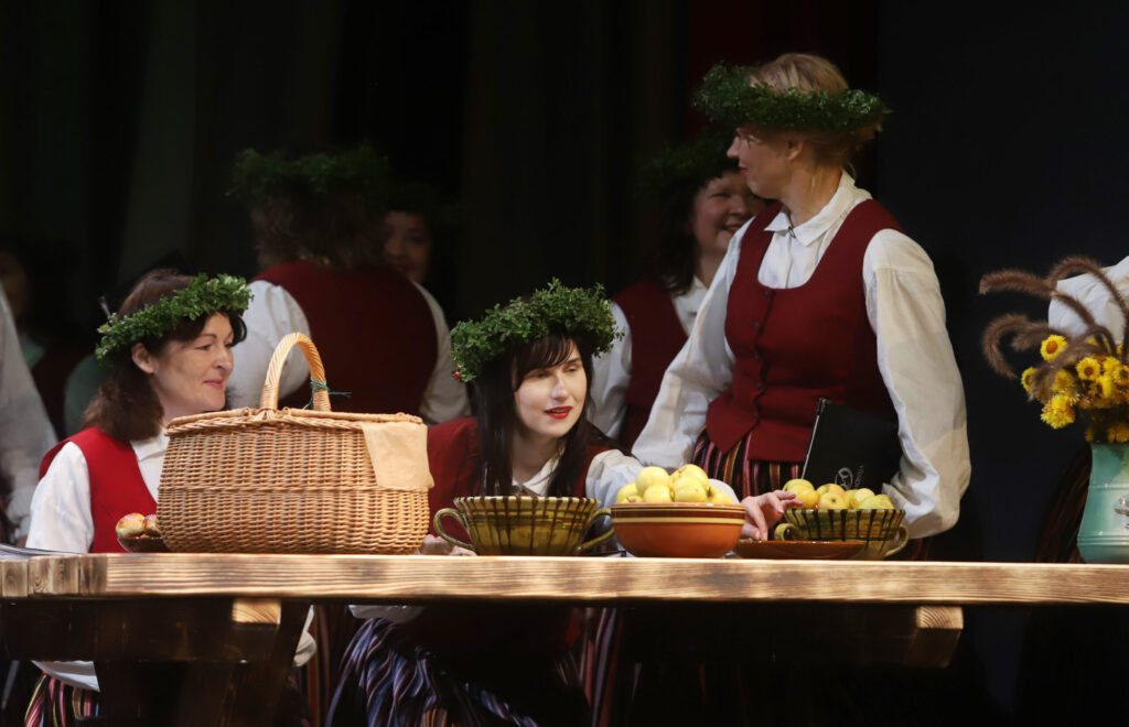 Aluksniesiem.lv raksta attēla aizvietotājs