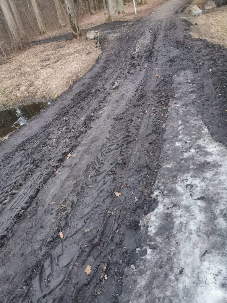 Autors: Lasītāja foto