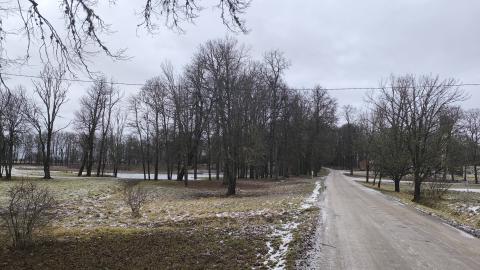 Aluksniesiem.lv raksta attēla aizvietotājs