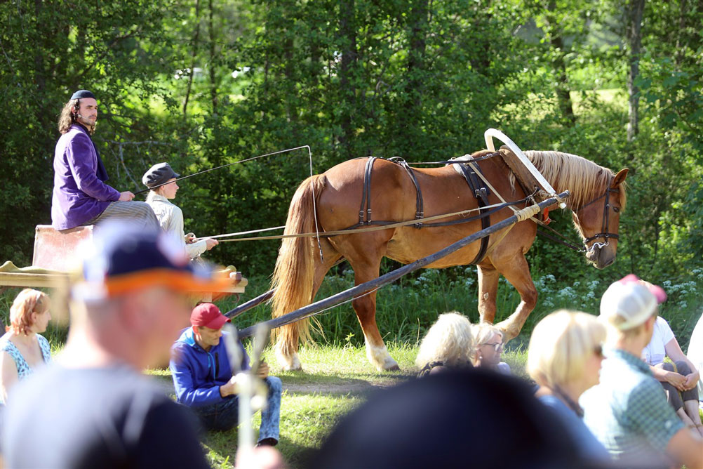 Autors: foto: Gatis Bogdanovs