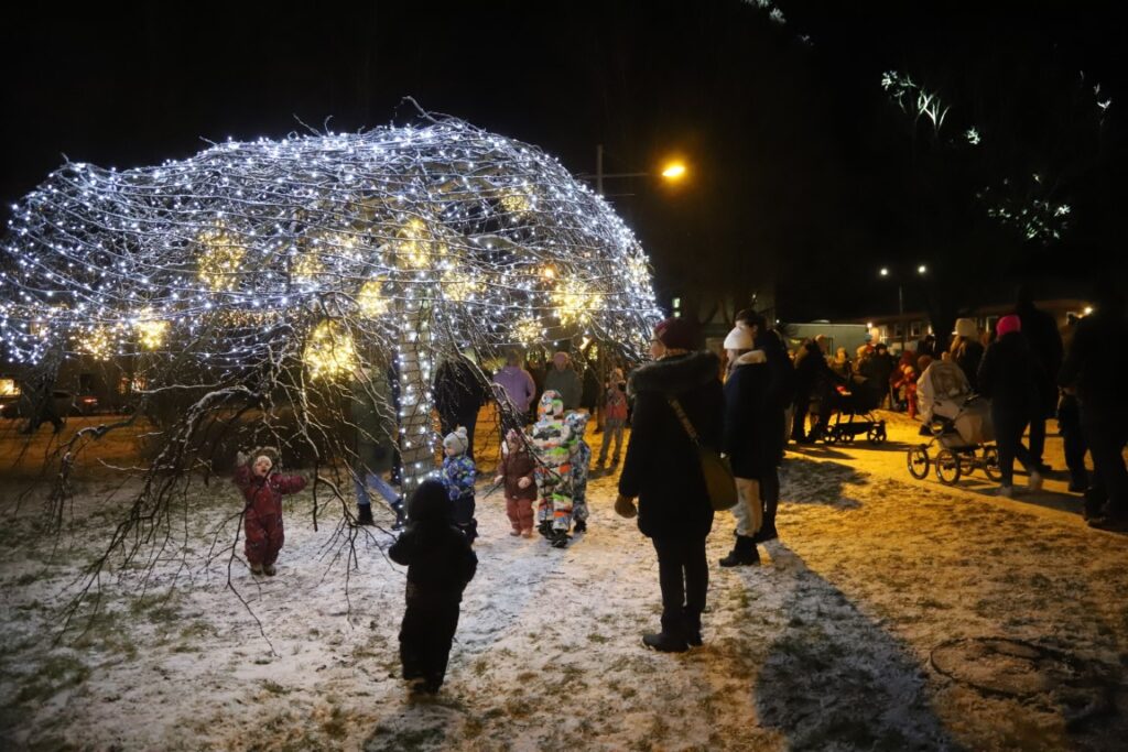 Autors: Foto: Gatis Bogdanovs