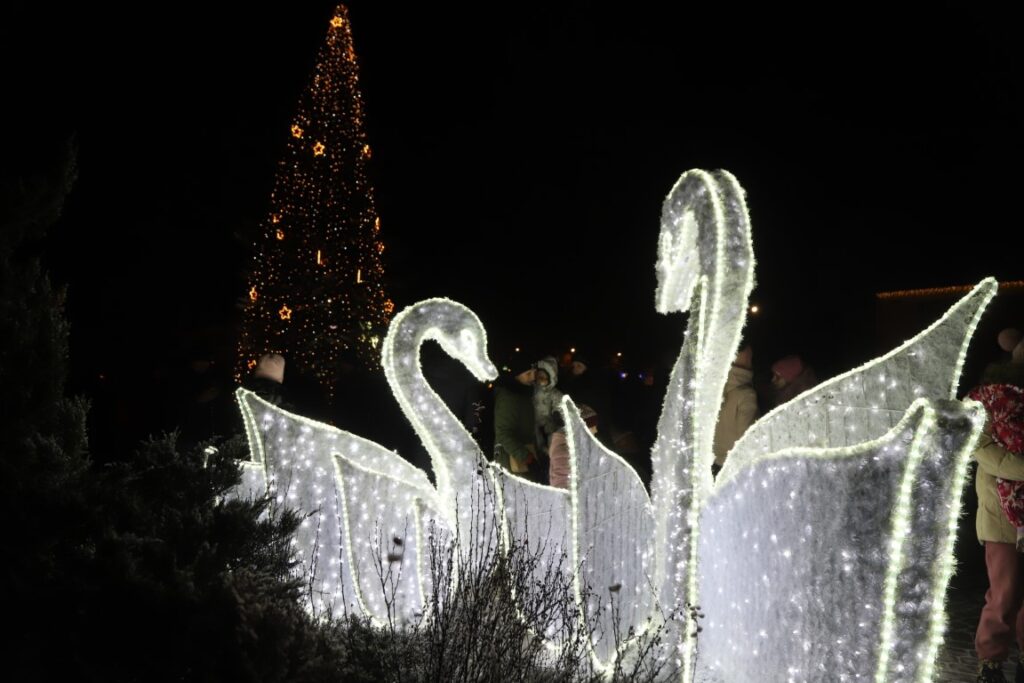 Autors: Foto: Gatis Bogdanovs