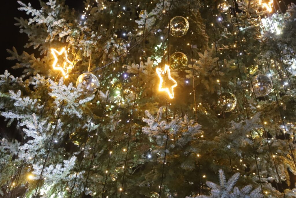 Autors: Foto: Gatis Bogdanovs