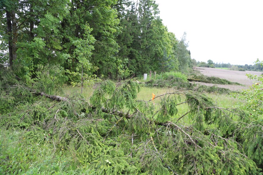 Jaungulbenes pagasts.
Autors: Foto: Gatis Bogdanovs