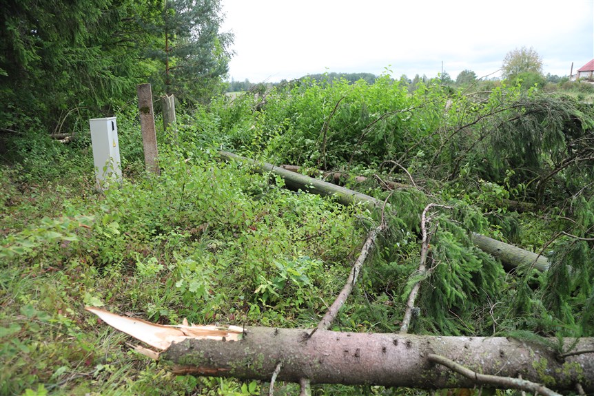 Jaungulbenes pagasts.
Autors: Foto: Gatis Bogdanovs