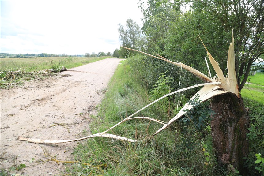 Jaungulbenes pagasts.
Autors: Foto: Gatis Bogdanovs