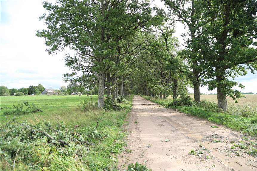 Jaungulbenes pagasts.
Autors: Foto: Gatis Bogdanovs