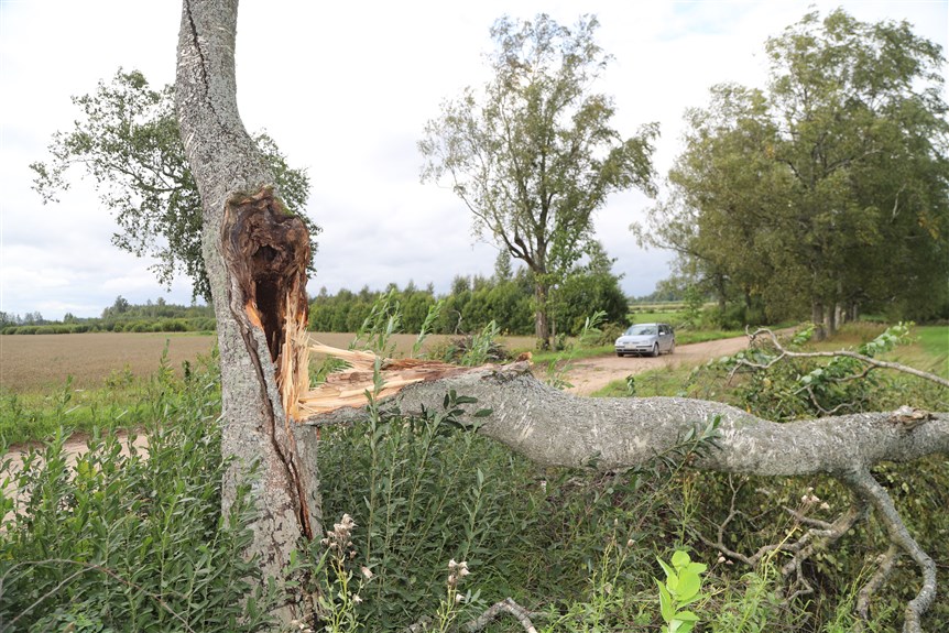 Jaungulbenes pagasts.
Autors: Foto: Gatis Bogdanovs