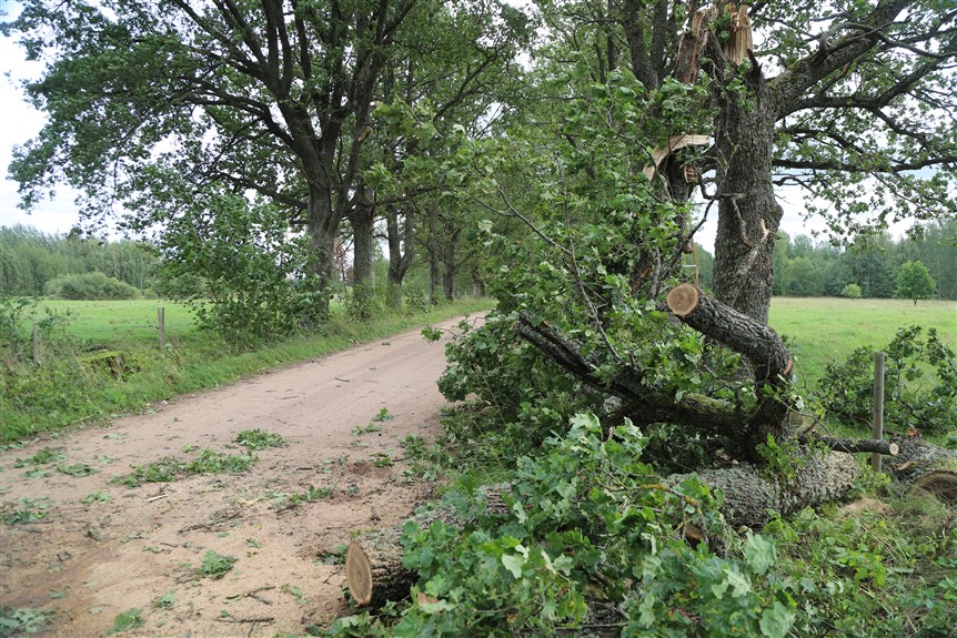Jaungulbenes pagasts.
Autors: Foto: Gatis Bogdanovs