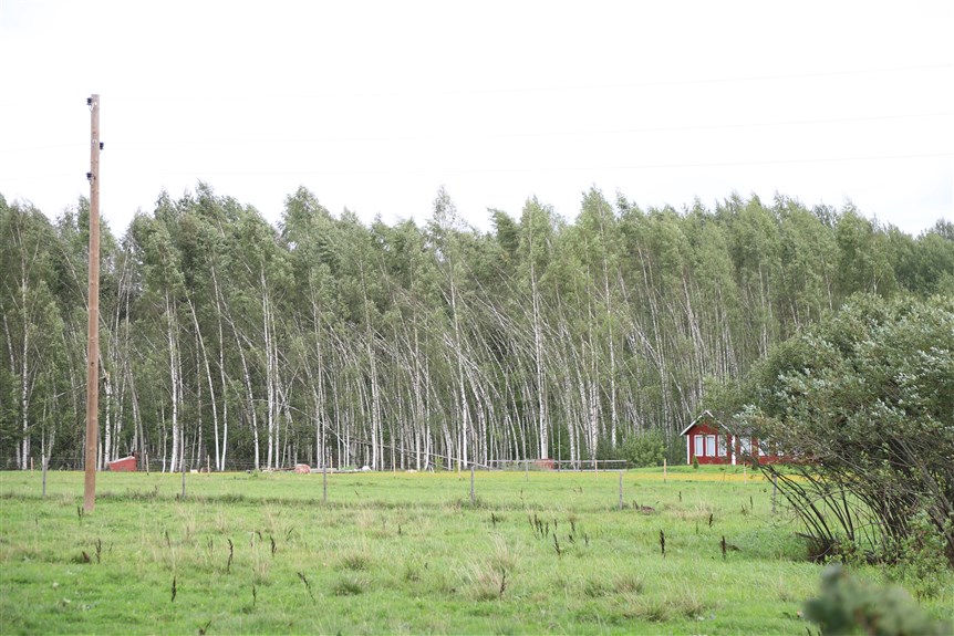 Jaungulbenes pagasts.
Autors: Foto: Gatis Bogdanovs