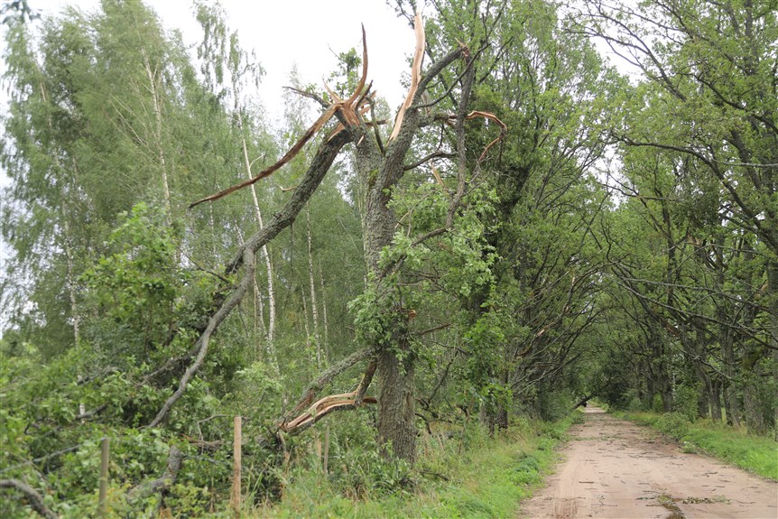 Jaungulbenes pagasts.
Autors: Foto: Gatis Bogdanovs