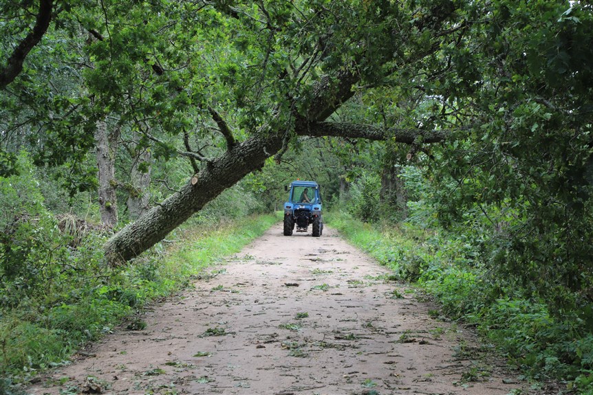 Jaungulbenes pagasts.
Autors: Foto: Gatis Bogdanovs