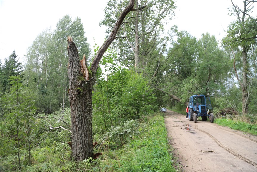 Jaungulbenes pagasts.
Autors: Foto: Gatis Bogdanovs