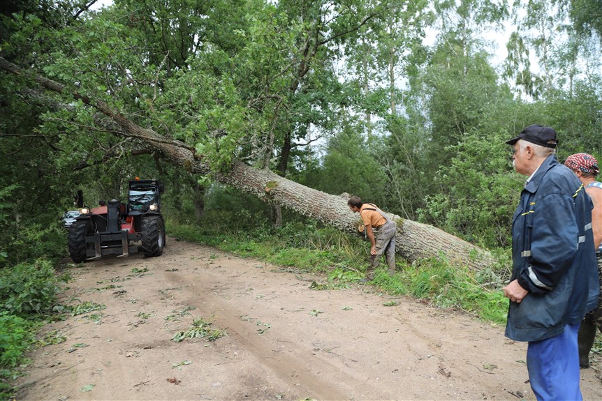 Jaungulbenes pagasts.
Autors: Foto: Gatis Bogdanovs