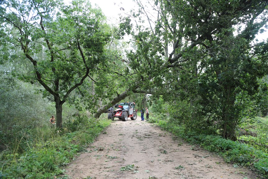 Jaungulbenes pagasts.
Autors: Foto: Gatis Bogdanovs