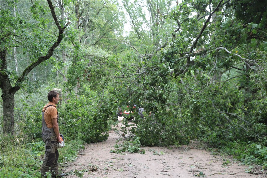 Jaungulbenes pagasts.
Autors: Foto: Gatis Bogdanovs