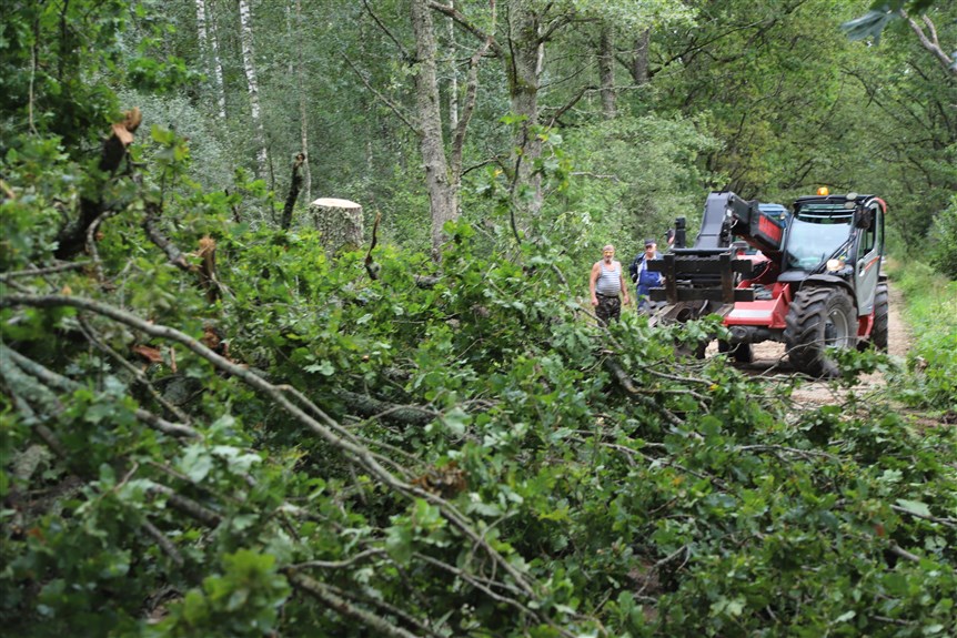 Jaungulbenes pagasts.
Autors: Foto: Gatis Bogdanovs