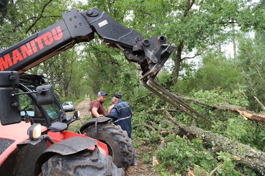 Jaungulbenes pagasts.
Autors: Foto: Gatis Bogdanovs