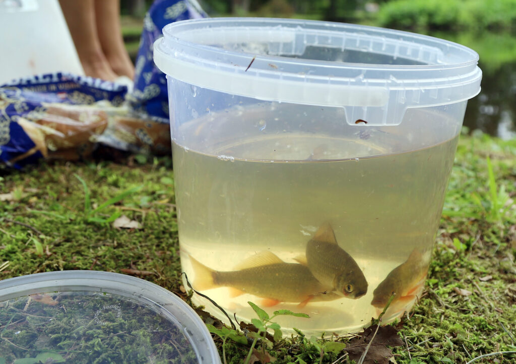 Autors: Foto: Gatis Bogdanovs