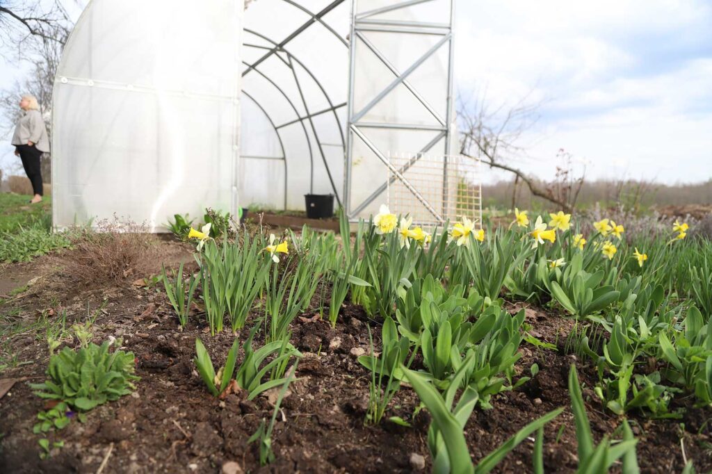 Autors: Foto: Gatis Bogdanovs