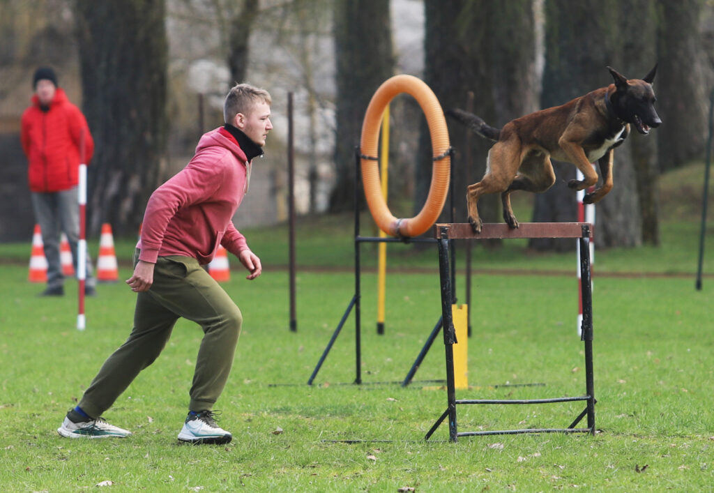 Autors: Foto: Gatis Bogdanovs