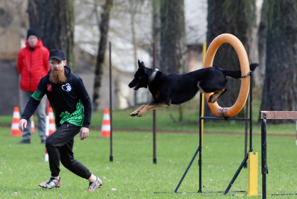 Autors: Foto: Gatis Bogdanovs