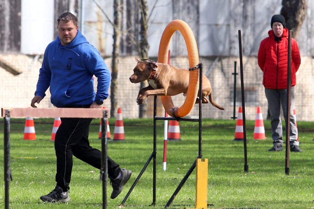 Autors: Foto: Gatis Bogdanovs