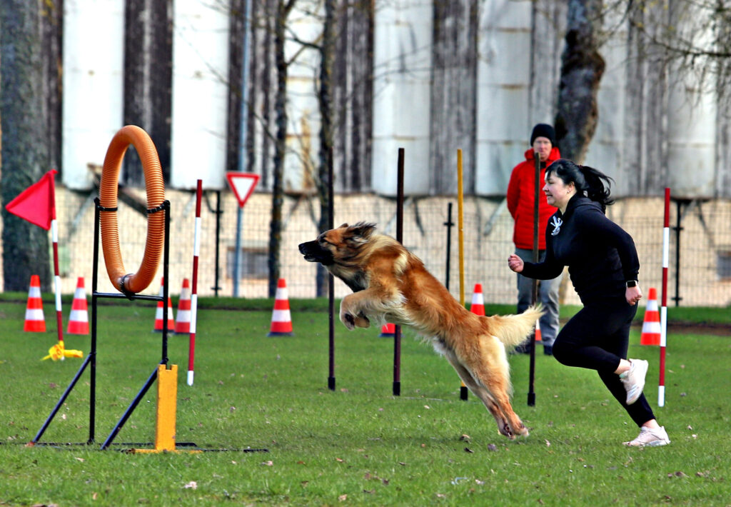 Autors: Foto: Gatis Bogdanovs