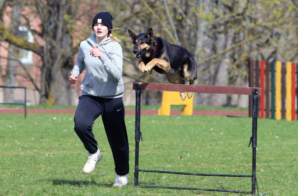 Autors: Foto: Gatis Bogdanovs